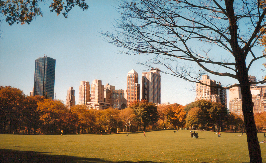 Một ví dụ về kiến trúc cảnh quan- Central Park ở New York
